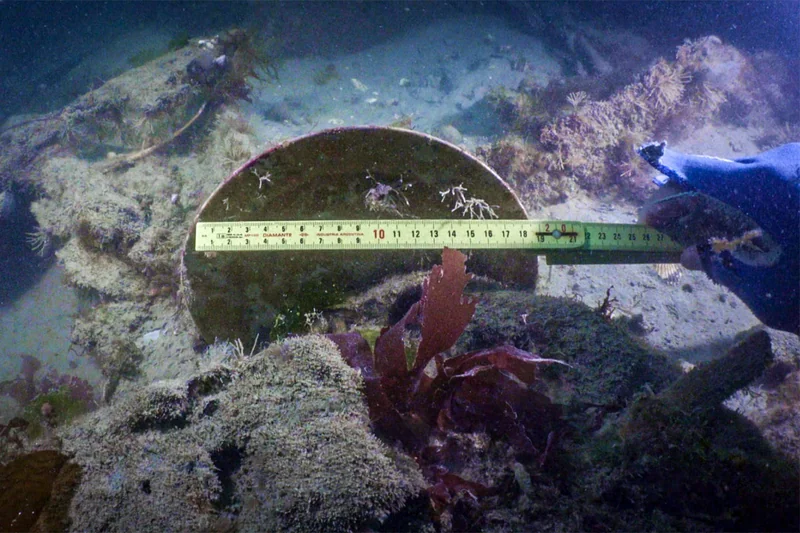 Arqueología subacuática del naufragio de la corbeta Swift en Puerto Deseado: medición de artefacto en el lecho marino